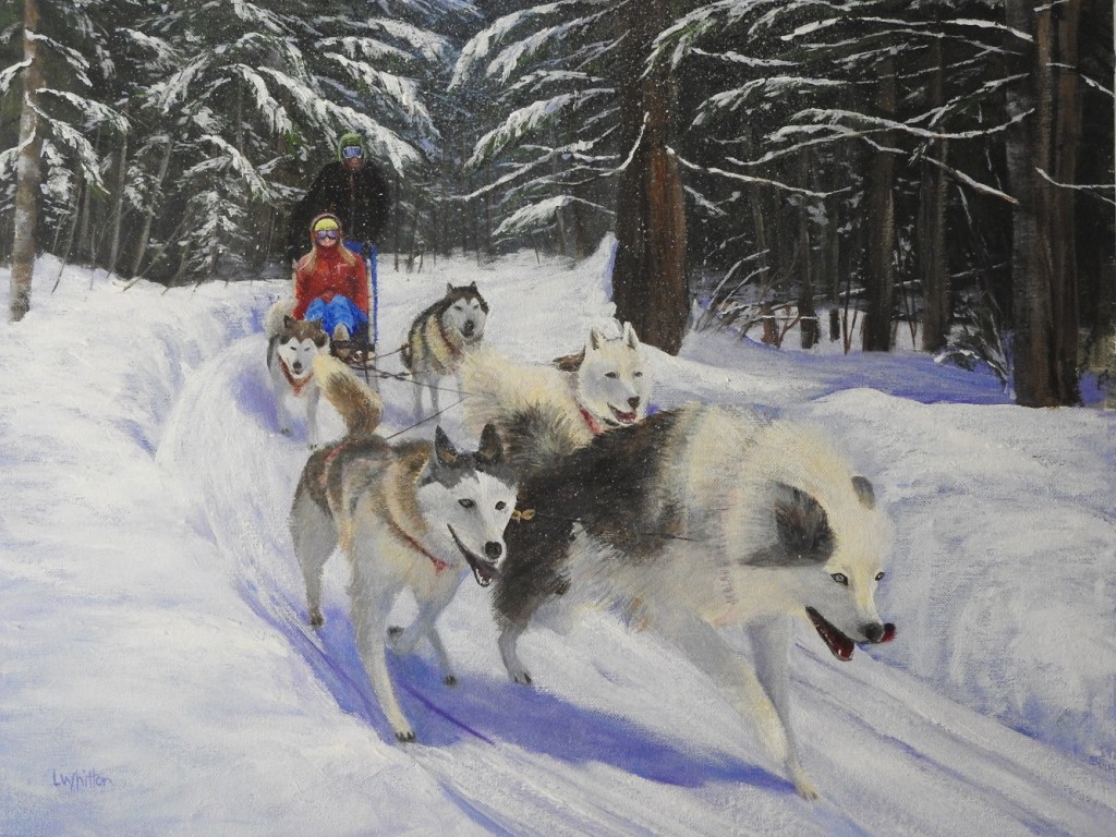 Winter sledding- capturing&nbsp;movement.