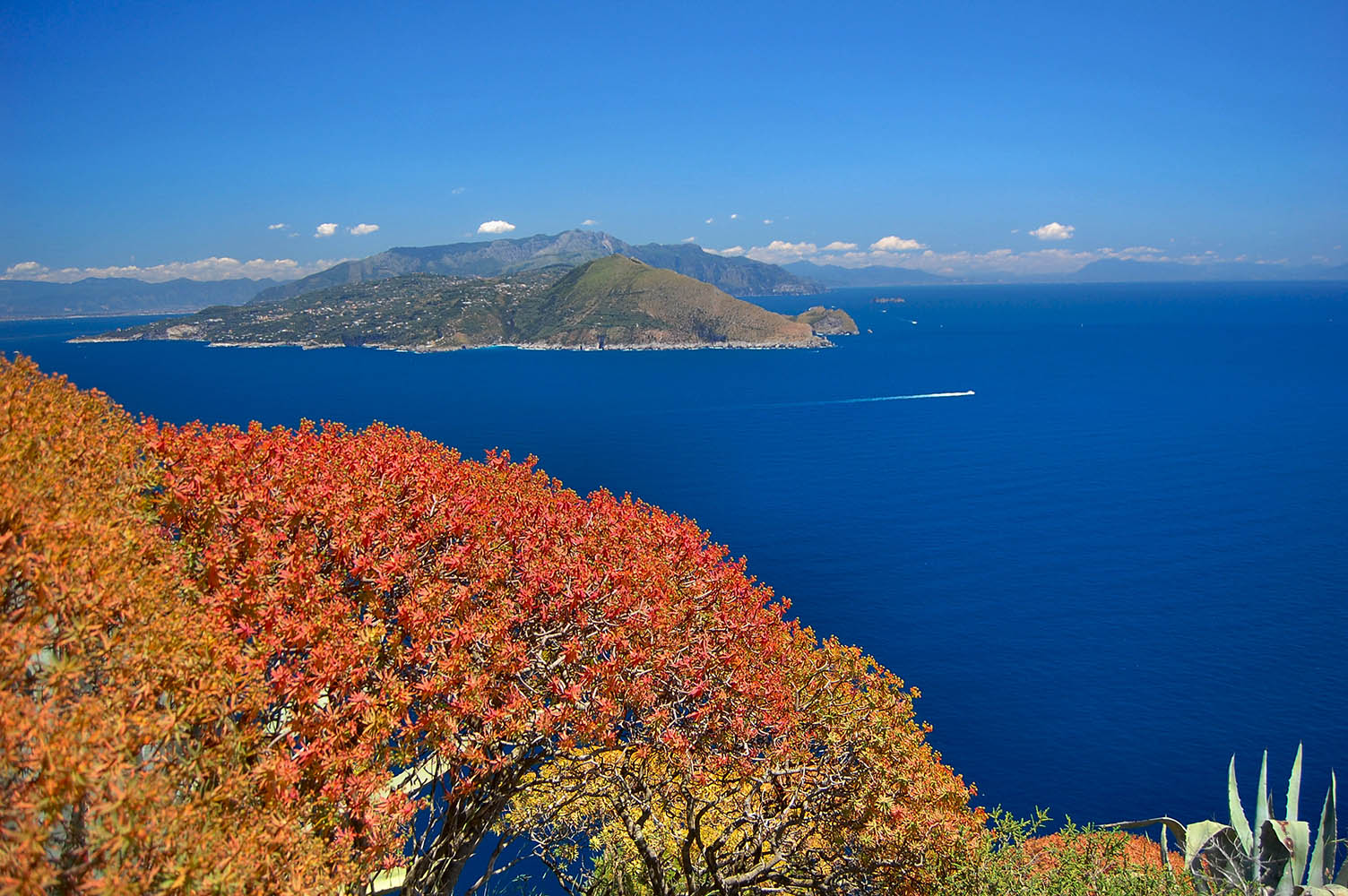 Orang and blue. Capri