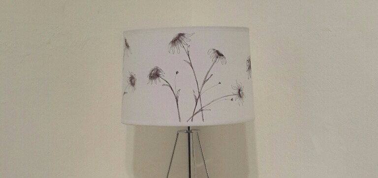 Painted lamp shade