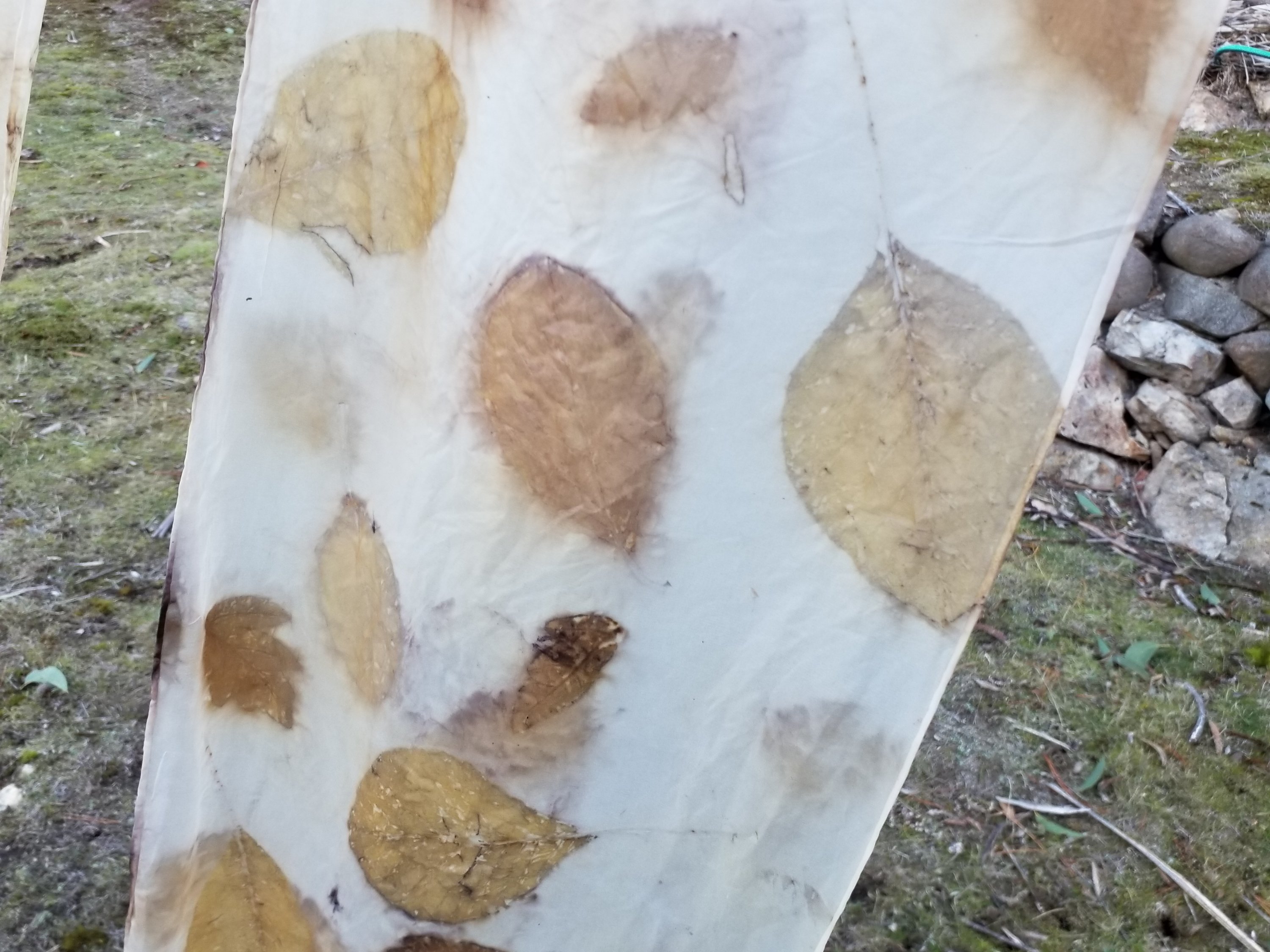Eco print on silk