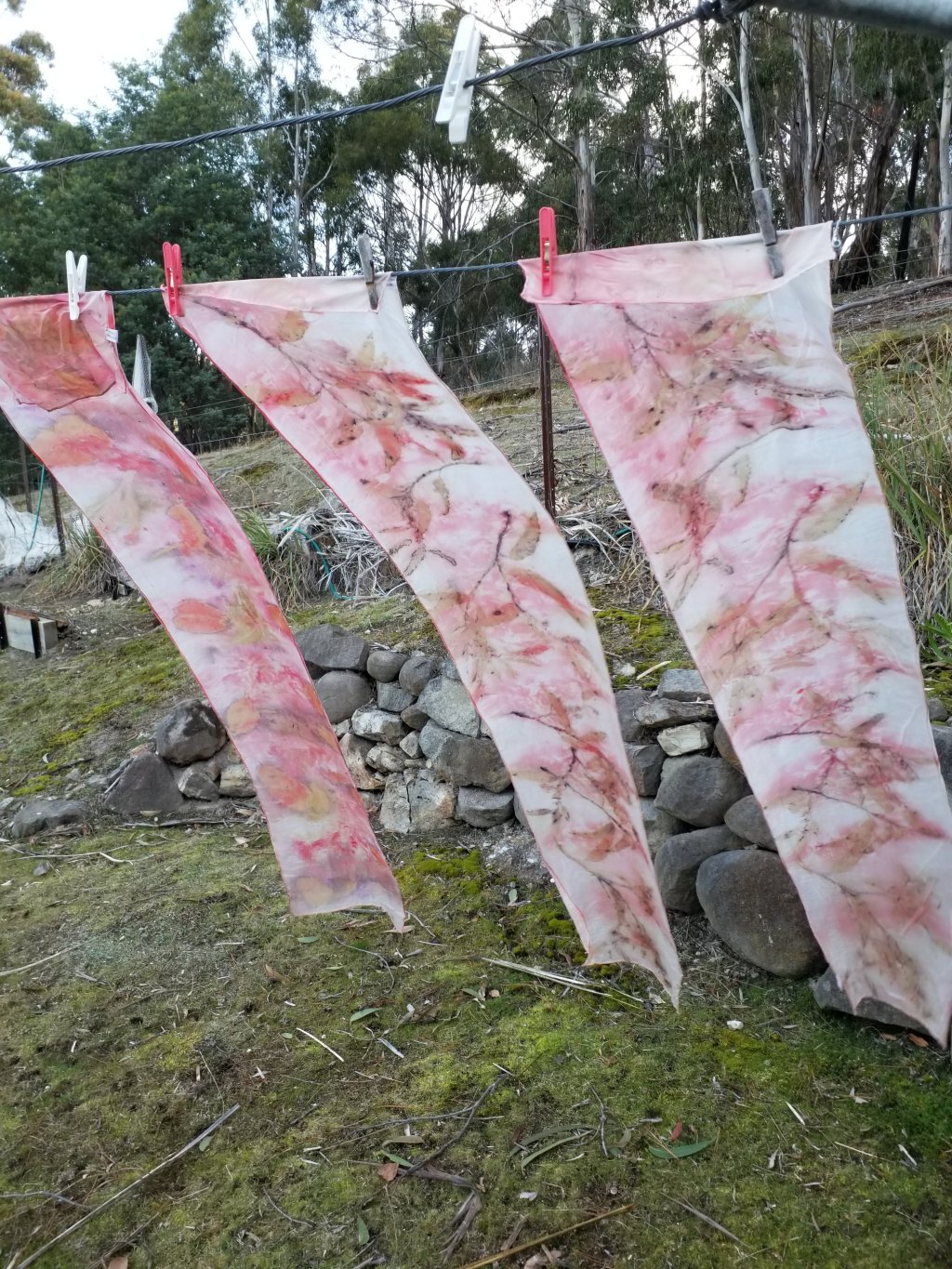 A bit of ecoprinting…