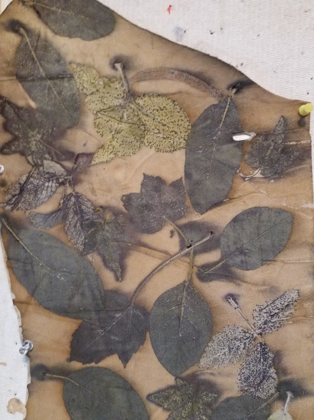 Botanical Printing on&nbsp;Leather