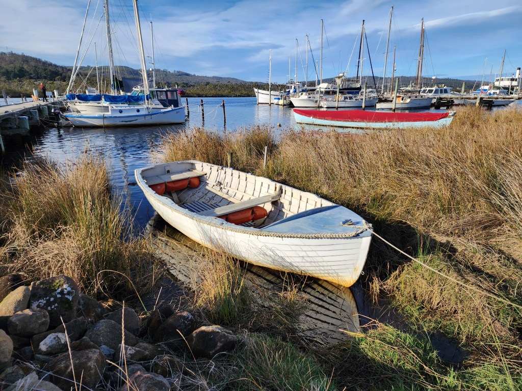 White boat pulled up among the goldedn grasses with a blue river as backdrop.